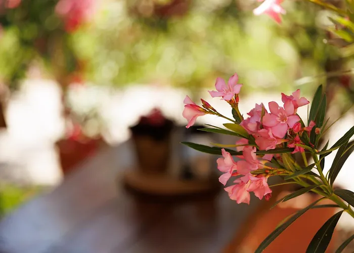 Lak6 Apartman Mórahalom